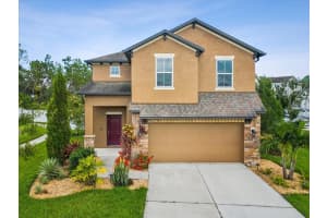 5274 Turtle Bay Dr, WESLEY CHAPEL