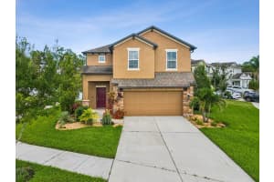 5274 TURTLE BAY DRIVE, WESLEY CHAPEL, FL 33545 - MLS#MFRTB8413713