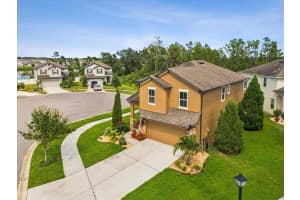 5274 TURTLE BAY DRIVE, WESLEY CHAPEL, FL 33545 - MLS#MFRTB8413713