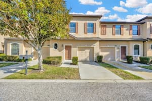 10253 Villa Palazzo Ct, TAMPA