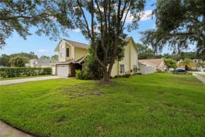 3225 MONTROSE CIRCLE, PALM HARBOR, FL 34684 - MLS#MFRTB8413740