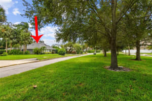116 S Hale Ave, TAMPA