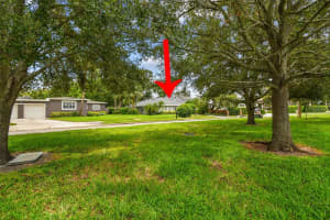 116 HALE AVENUE, TAMPA, FL 33609 - MLS#MFRTB8413748