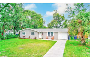 9310 N Oakleaf Ave, TAMPA