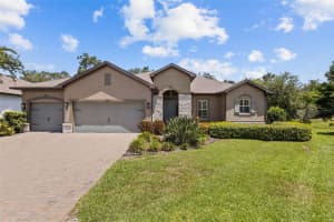 1541 FOREST GLEN COURT, PALM HARBOR, FL 34683 - MLS#MFRTB8413762