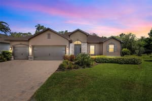 1541 FOREST GLEN COURT, PALM HARBOR, FL 34683 - MLS#MFRTB8413762
