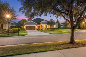33536 Willow Point Ct, WESLEY CHAPEL