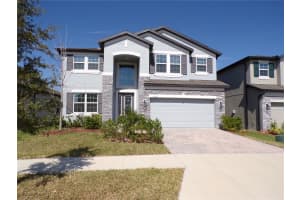 33251 SYCAMORE LEAF DRIVE, WESLEY CHAPEL, FL 33545 - MLS#MFRTB8413772