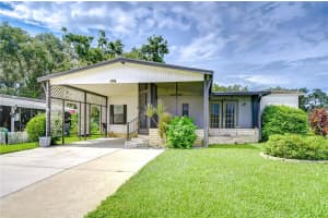 34121 TREE LAKE DRIVE, WESLEY CHAPEL, FL 33543 - MLS#MFRTB8413842