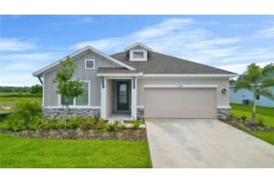 11920 RICHMOND TRAIL, PARRISH, FL 34219 - MLS#MFRTB8413878