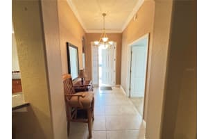 9936 CLEGHORN DRIVE, SAN ANTONIO, FL 33576 - MLS#MFRTB8413879