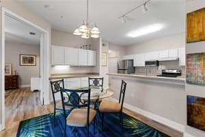 5020 SUNRIDGE PALMS DRIVE, TAMPA, FL 33617 - MLS#MFRTB8413890