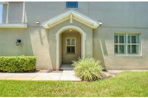 443 HARBOR SPRINGS DRIVE, PALM HARBOR, FL 34683 - MLS#MFRTB8413891