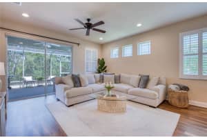 443 HARBOR SPRINGS DRIVE, PALM HARBOR, FL 34683 - MLS#MFRTB8413891