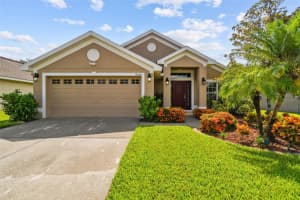9638 Jaybird Ln, LAND O LAKES