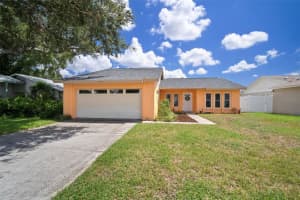 812 Settlers Rd, TAMPA
