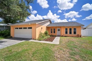 812 SETTLERS ROAD, TAMPA, FL 33613 - MLS#MFRTB8413913
