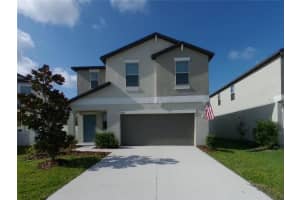 13335 Willow Bluestar Loop, RIVERVIEW