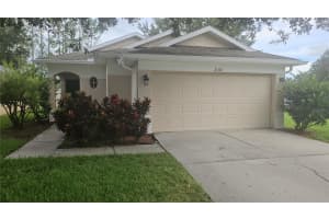 21332 MORNING MIST WAY, LAND O LAKES, FL 34637 - MLS#MFRTB8413974