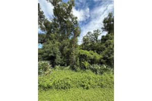 1861 CORBETT ROAD, ORLANDO, FL 32826 - MLS#MFRTB8414007