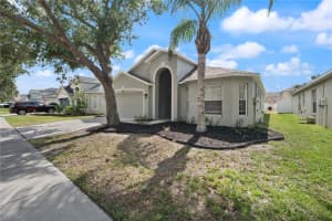 508 DELWOOD BRECK STREET, RUSKIN, FL 33570 - MLS#MFRTB8414015