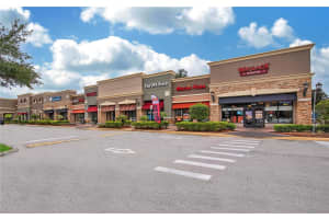 15960 FISHHAWK VIEW DRIVE, LITHIA, FL 33547 - MLS#MFRTB8414016
