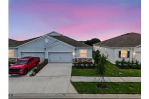 31463 Paper Birch St, WESLEY CHAPEL