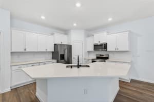 31463 PAPER BIRCH STREET, WESLEY CHAPEL, FL 33545 - MLS#MFRTB8414030