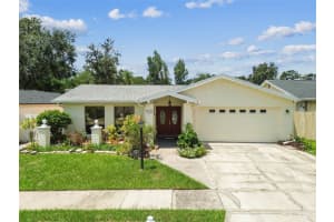 12614 Catamaran Pl, TAMPA
