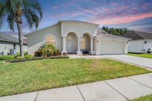 18143 Palm Breeze Dr, TAMPA