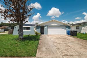 8505 Woodbridge Blvd, TAMPA