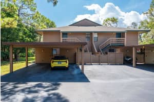 1008 LENNOX ROAD, PALM HARBOR, FL 34683 - MLS#MFRTB8414074