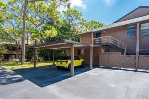 1008 LENNOX ROAD, PALM HARBOR, FL 34683 - MLS#MFRTB8414074