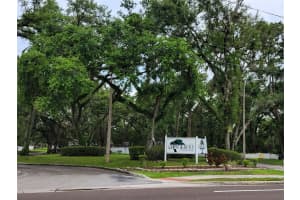 8006 GARDENIA DR DRIVE, TEMPLE TERRACE, FL 33637 - MLS#MFRTB8414082