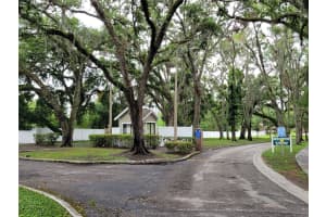 8006 GARDENIA DR DRIVE, TEMPLE TERRACE, FL 33637 - MLS#MFRTB8414082