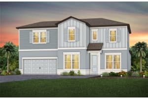 11397 Osprey Preserve Pl, RIVERVIEW