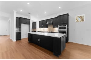 11397 OSPREY PRESERVE PLACE, RIVERVIEW, FL 33569 - MLS#MFRTB8414105