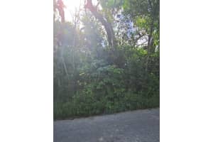 Lenox Dr New Port Richey, FL 34653 - Off Market