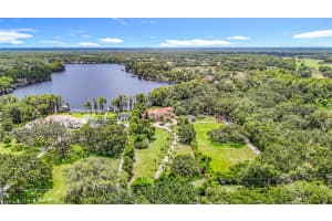 7732 MOBLEY ROAD, ODESSA, FL 33556 - MLS#MFRTB8414115