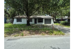3717 Ambermist Dr, TAMPA