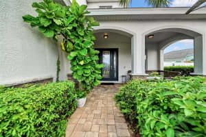 8144 CARLTON RIDGE DRIVE, LAND O LAKES, FL 34638 - MLS#MFRTB8414134