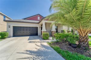 11019 Purple Martin Blvd, RIVERVIEW