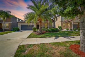 11019 PURPLE MARTIN BOULEVARD, RIVERVIEW, FL 33579 - MLS#MFRTB8414151