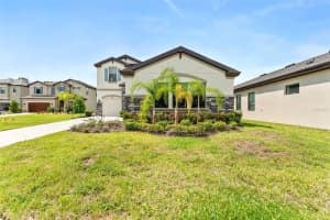 14885 PADDOCK POND AVENUE, LITHIA, FL 33547 - MLS#MFRTB8414153