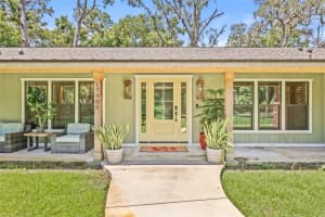 17908 PEPPER TREE LANE, LUTZ, FL 33548 - MLS#MFRTB8414155