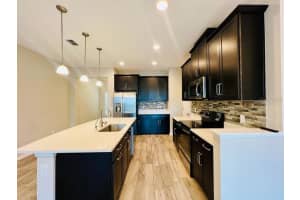 29885 SOUTHWELL LANE, WESLEY CHAPEL, FL 33543 - MLS#MFRTB8414158