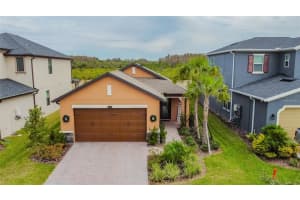 4738 TRAMANTO LANE, WESLEY CHAPEL, FL 33543 - MLS#MFRTB8414227