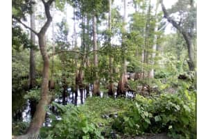 9010 PEONY STREET, NEW PORT RICHEY, FL 34654 - MLS#MFRTB8414240