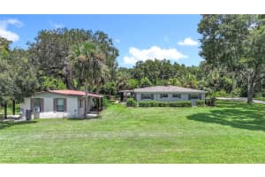 3804 GALLAGHER ROAD, DOVER, FL 33527 - MLS#MFRTB8414259