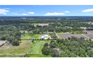 3804 GALLAGHER ROAD, DOVER, FL 33527 - MLS#MFRTB8414259